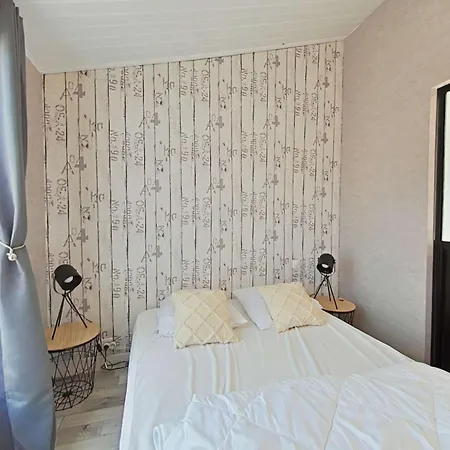 Maison 5 Pieces Avec Wifi, Pres Et Centre, Sur - Fr-1-224a-73
